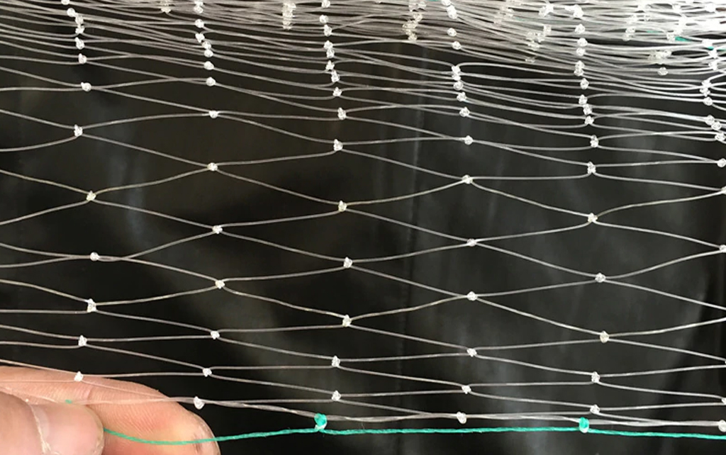 Best Anti Bird Net Installation And Repair Services In Kurla Mumbai