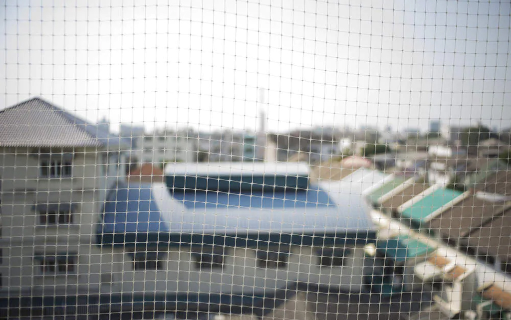 Best Bird Netting Installation And Repair Services In Kurla Mumbai