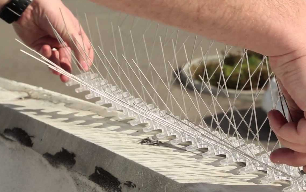 Best Bird Spikes Installation And Repair Services In Kurla Mumbai